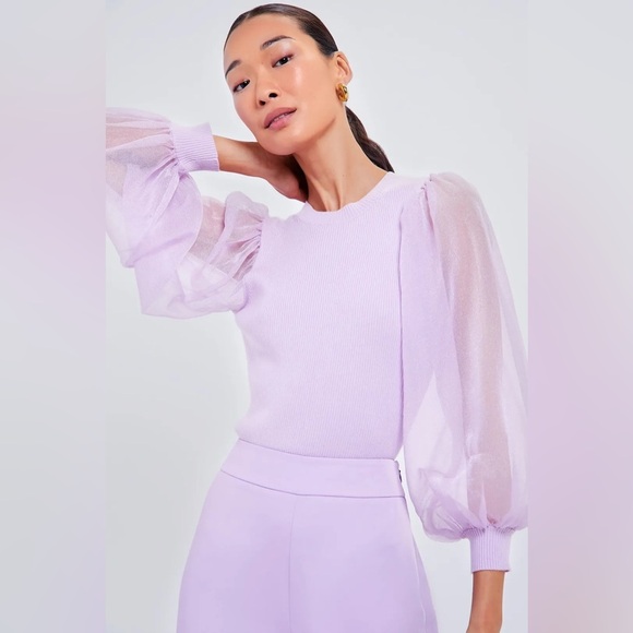 Tuckernuck Tops - Tuckernuck Lilac Knit Betsy Blouse Size S NWT Sheer Puff Sleeve Stretchy Ribbed